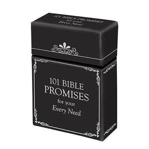 101 Bible Promises for Your Every Need (Other)