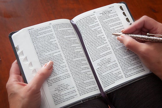 KJV Bible - Compact Amethyst