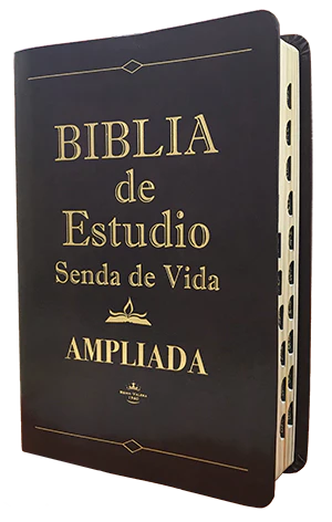 Biblia de Estudio Reina Valera 1960 Senda de Vida Ampliada imi* Piel Negro