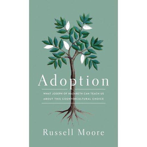 Adoption: What Joseph of Nazareth Can Teach Us about This Countercultural Choice by Russell Moore