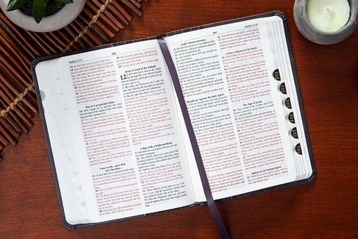 KJV Bible - Compact Granite